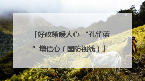 好政策暖人心 “孔雀蓝”增信心（国防视线）