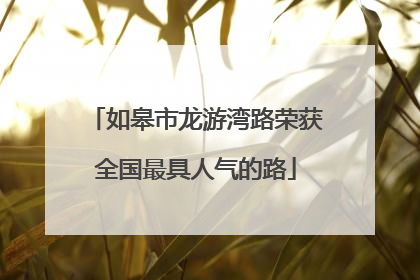如皋市龙游湾路荣获全国最具人气的路