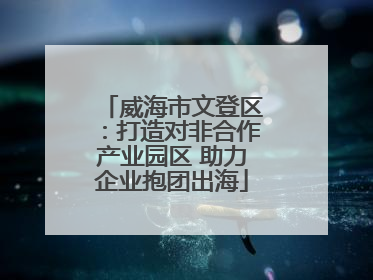 威海市文登区：打造对非合作产业园区 助力企业抱团出海