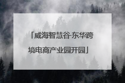 威海智慧谷·东华跨境电商产业园开园