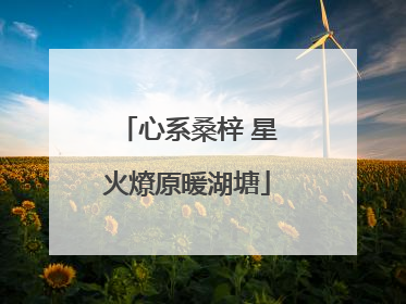 心系桑梓 星火燎原暖湖塘