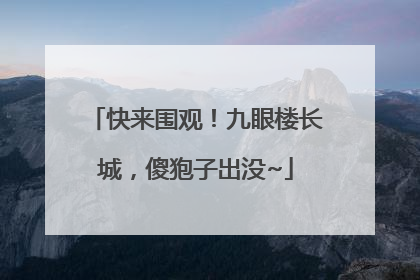 快来围观！九眼楼长城，傻狍子出没~
