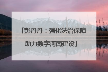 彭丹丹：强化法治保障 助力数字河南建设