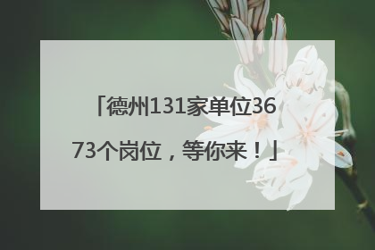 德州131家单位3673个岗位，等你来！