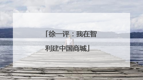 徐一评：我在智利建中国商城