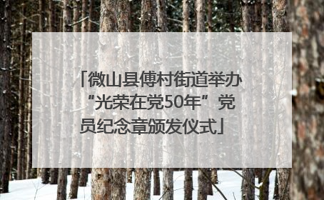 微山县傅村街道举办“光荣在党50年”党员纪念章颁发仪式