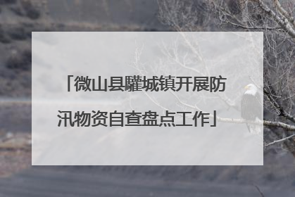 微山县驩城镇开展防汛物资自查盘点工作