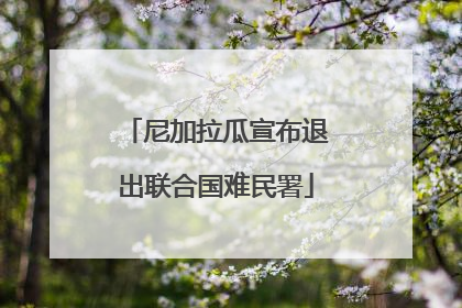 尼加拉瓜宣布退出联合国难民署