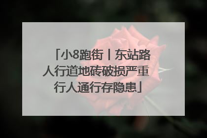 小8跑街丨东站路人行道地砖破损严重 行人通行存隐患