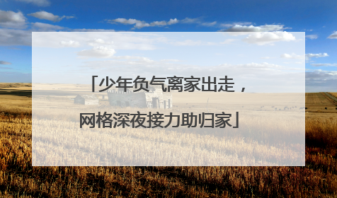少年负气离家出走，网格深夜接力助归家