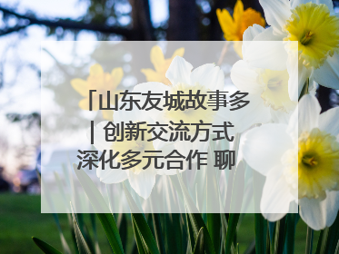 山东友城故事多｜创新交流方式 深化多元合作 聊城加速构建全球友城新格局