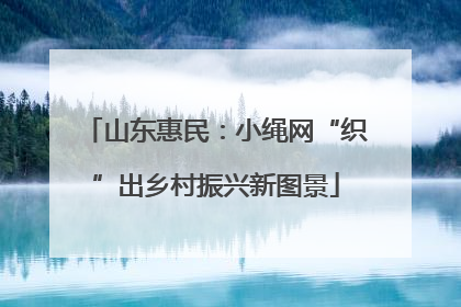 山东惠民：小绳网“织”出乡村振兴新图景