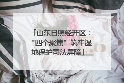 山东日照经开区：“四个聚焦”筑牢湿地保护司法屏障