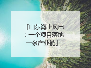 山东海上风电：一个项目落地一条产业链