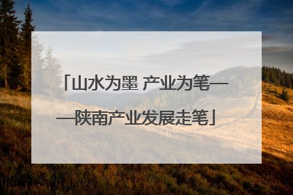 山水为墨 产业为笔——陕南产业发展走笔