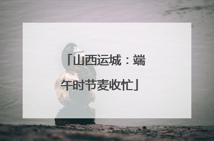 山西运城：端午时节麦收忙