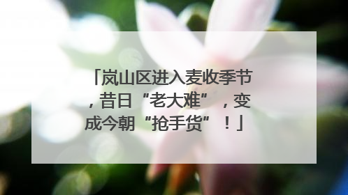 岚山区进入麦收季节，昔日“老大难”，变成今朝“抢手货”！