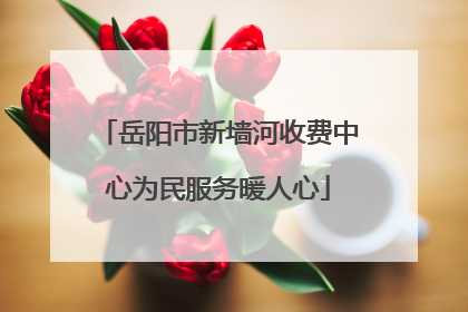 岳阳市新墙河收费中心为民服务暖人心