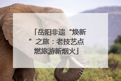 岳阳非遗“焕新”之旅：老技艺点燃旅游新烟火