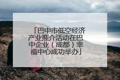 巴中市低空经济产业推介活动在巴中企业（成都）幸福中心成功举办