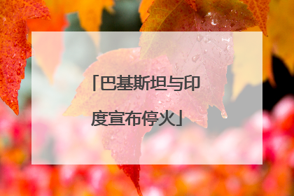 巴基斯坦与印度宣布停火