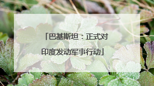 巴基斯坦：正式对印度发动军事行动