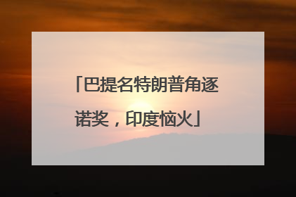 巴提名特朗普角逐诺奖，印度恼火