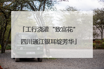 工行浇灌“致富花” 四川通江银耳绽芳华