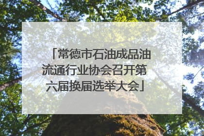 常德市石油成品油流通行业协会召开第六届换届选举大会
