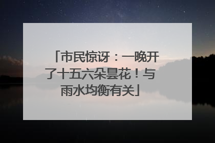 市民惊讶：一晚开了十五六朵昙花！与雨水均衡有关
