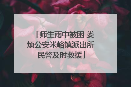 师生雨中被困 娄烦公安米峪镇派出所民警及时救援