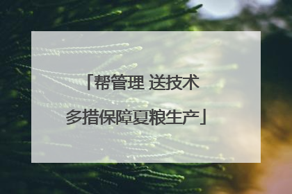 帮管理 送技术 多措保障夏粮生产