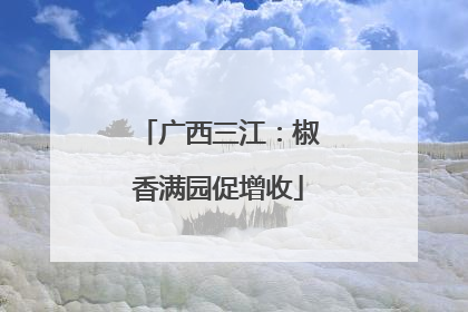广西三江：椒香满园促增收