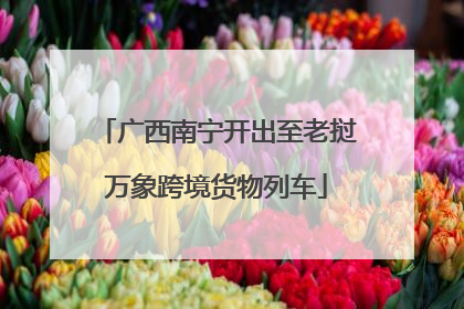 广西南宁开出至老挝万象跨境货物列车
