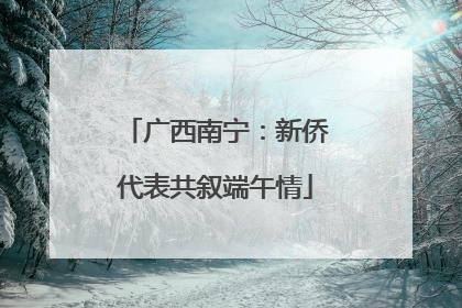 广西南宁：新侨代表共叙端午情