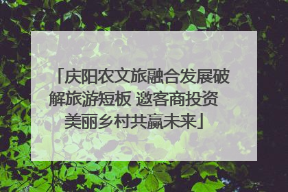 庆阳农文旅融合发展破解旅游短板 邀客商投资美丽乡村共赢未来