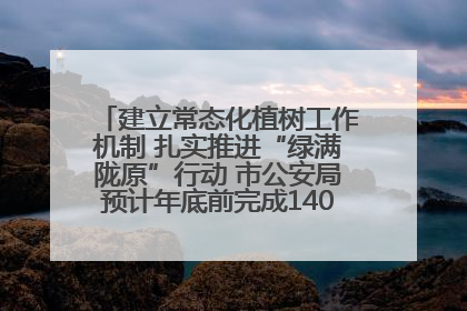 建立常态化植树工作机制 扎实推进“绿满陇原”行动 市公安局预计年底前完成1402亩绿化任务