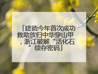建德今年首次成功救助放归中华穿山甲，浙江破解“活化石”续存密码