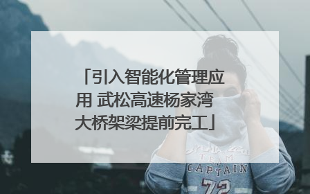 引入智能化管理应用 武松高速杨家湾大桥架梁提前完工