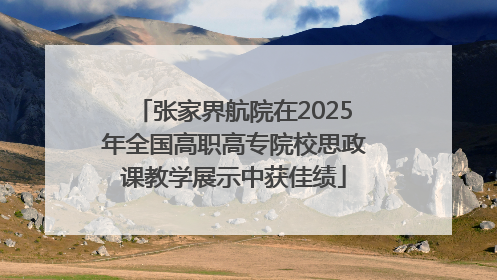 张家界航院在2025年全国高职高专院校思政课教学展示中获佳绩