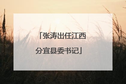 张涛出任江西分宜县委书记