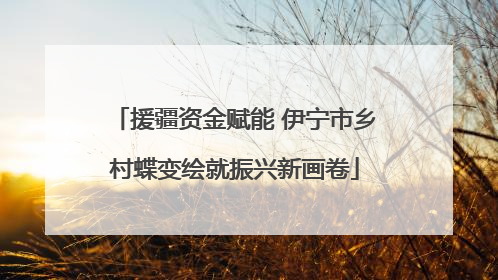 援疆资金赋能 伊宁市乡村蝶变绘就振兴新画卷