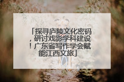 探寻庐陵文化密码，研讨戏影学科建设！广东省写作学会赋能江西文旅