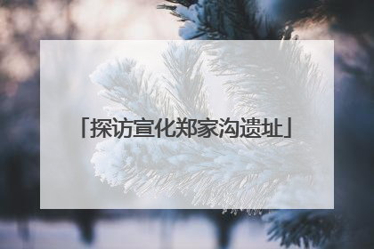 探访宣化郑家沟遗址