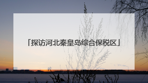 探访河北秦皇岛综合保税区