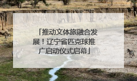 推动文体旅融合发展！辽宁省匹克球推广启动仪式启幕