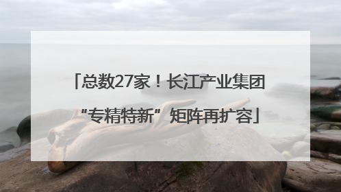 总数27家！长江产业集团“专精特新”矩阵再扩容