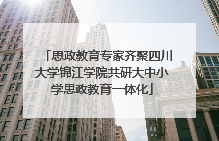 思政教育专家齐聚四川大学锦江学院共研大中小学思政教育一体化