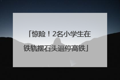惊险！2名小学生在铁轨摆石头逼停高铁