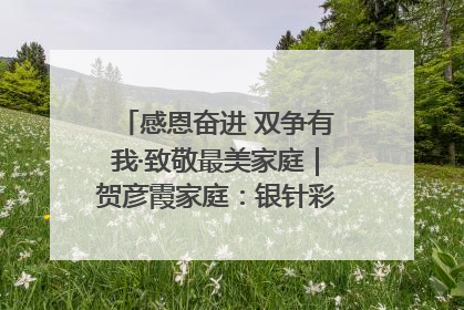感恩奋进 双争有我·致敬最美家庭｜贺彦霞家庭：银针彩线绣出好日子